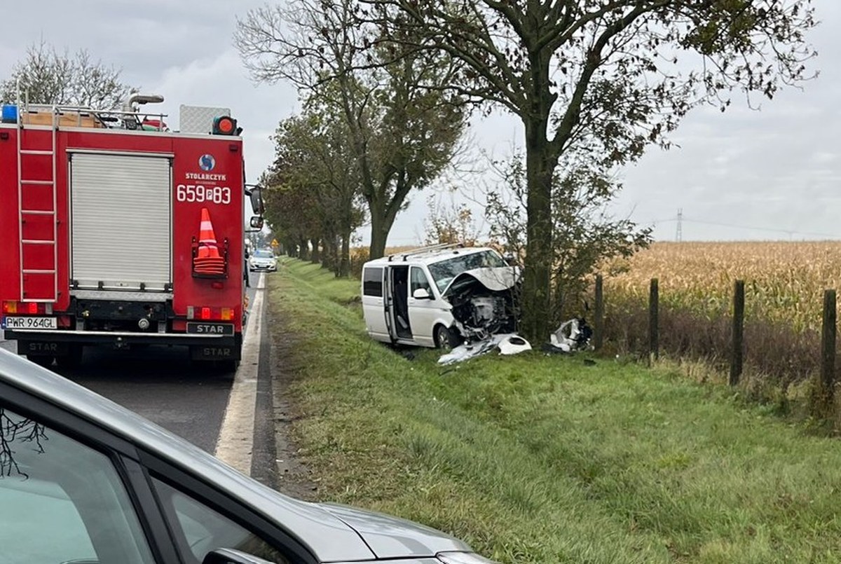 Bus przewożący dzieci uderzył w drzewo. Są ciężko ranni