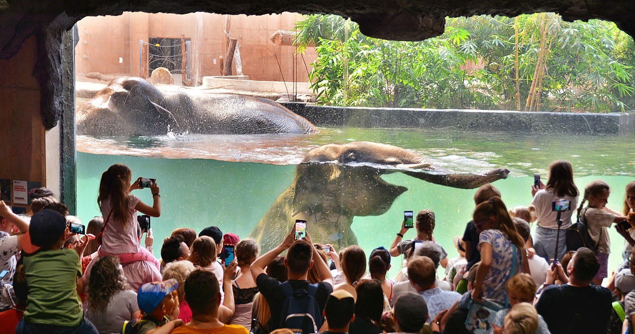 ​Najnowocześniejsze zoo w Europie znajduje się w Polsce. niedługo będzie jeszcze ciekawsze