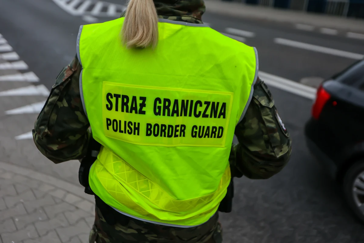 Wewnętrzne postępowanie kontrolne w straży granicznej zarządził komendant tej formacji po incydencie z udziałem funkcjonariuszy w Gruzji - dowiedział się dziennikarz RMF FM Krzysztof Zasada. Ma ono polegać na sprawdzeniu aktualności procedur, funkcjonujących w związku z operacjami powrotowymi w kontekście tego incydentu.