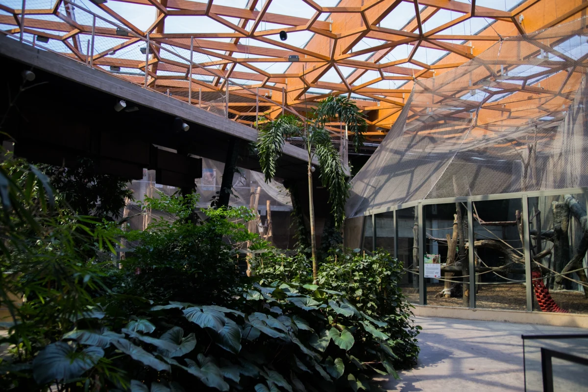 Łódzkie zoo szykuje się do realizacji projektu, który może zrewolucjonizować sposób, w jaki postrzegamy ogrody zoologiczne. Pawilon Żywiołów – bo taką nazwę nosi nowa inwestycja – ma być pierwszym w Polsce, a nawet na świecie, miejscem łączącym interaktywne muzeum ewolucji z nowoczesnym ogrodem zoologicznym. To przestrzeń, w której zwiedzający staną się nie tylko obserwatorami, ale i uczestnikami wielkiej przygody, prowadzonej przez wszystkie etapy ewolucji życia na Ziemi.