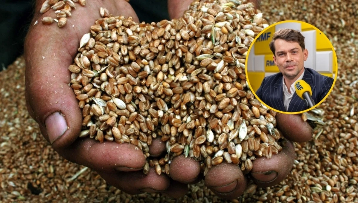 "Mercosur nie jest potrzebny po to, żeby tutaj przyjeżdżało, nie wiadomo ile żywności z Ameryki Południowej" - mówił w Popołudniowej rozmowie w RMF FM Michał Kołodziejczak. Lider środowisk rolniczych wskazywał, że największym zagrożeniem związanym z Mercosurem jest przejęcie przez kraje Ameryki Płd. europejskich kontraktów żywieniowych w Japonii czy Korei. "Nie w ciągu roku" – powiedział Kołodziejczak, pytany, czy polskie rolnictwo czeka fala bankructw. "Powinna nastąpić zmiana pokoleniowa w polskiej polityce" – wskazał poseł KO.