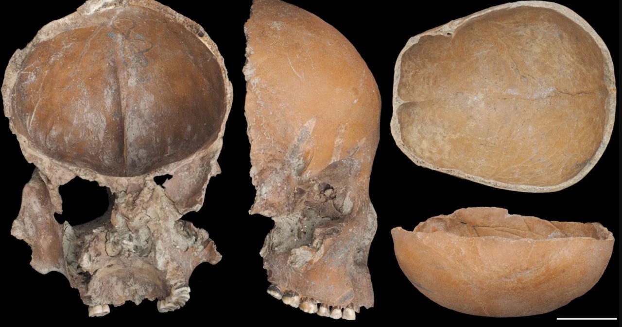 Czaszki sprzed 5 tys. lat przerobione na naczynia. Tajemnica kultury Liangzhu