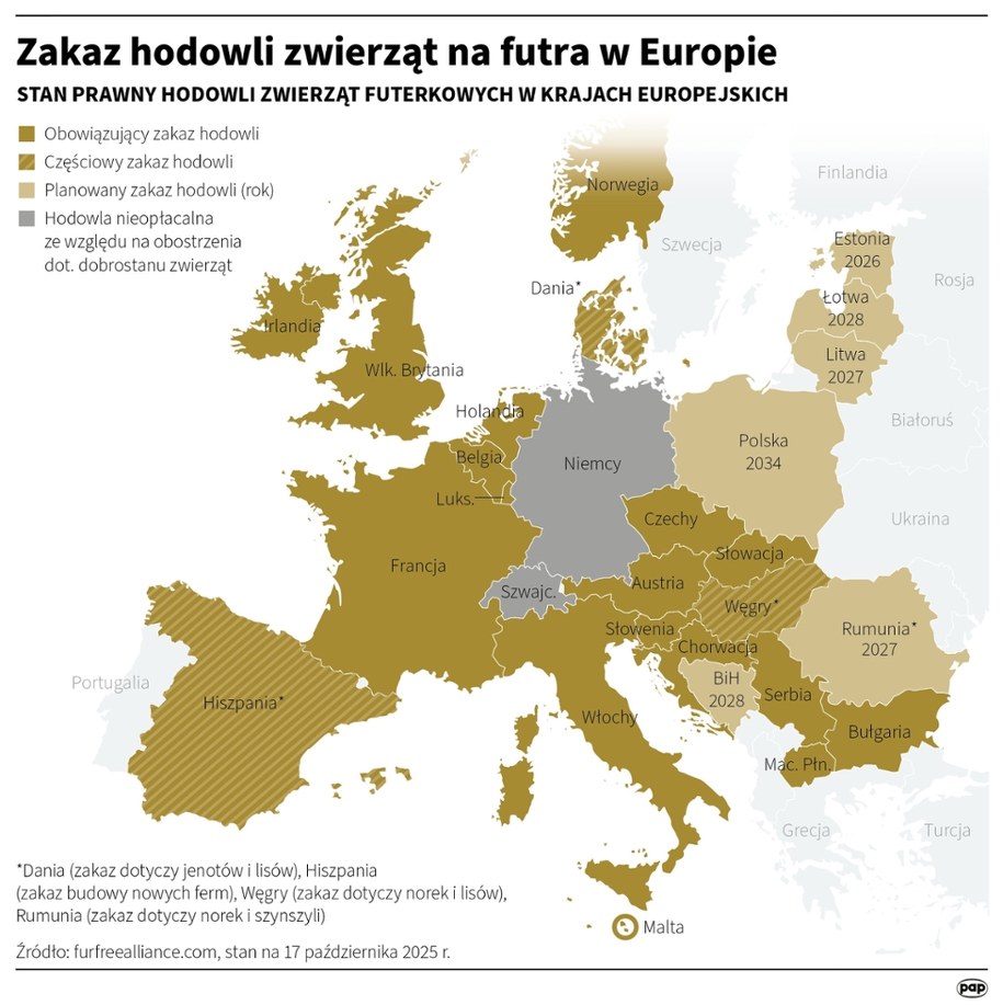 /Maciej Zieliński, Adam Ziemienowicz /PAP