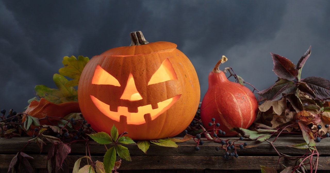Jak wyciąć dynię na Halloween i zrobić jesienną ozdobę ogrodu?