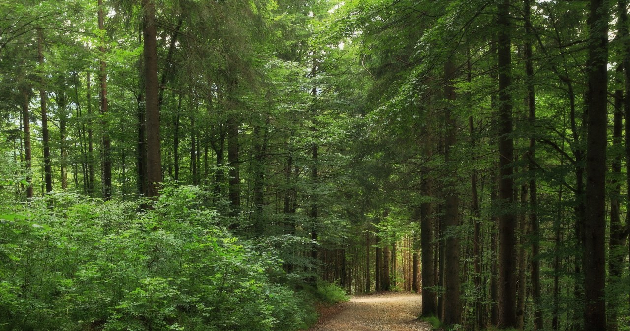 wiadomości,aktualności,Interia 