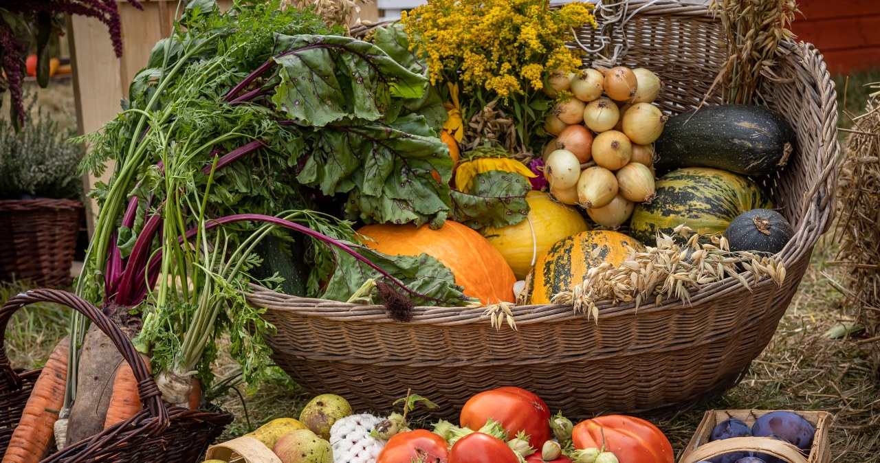 Te produkty pomogą zbudować tarczę przed infekcjami. Nie chodzi o dynię