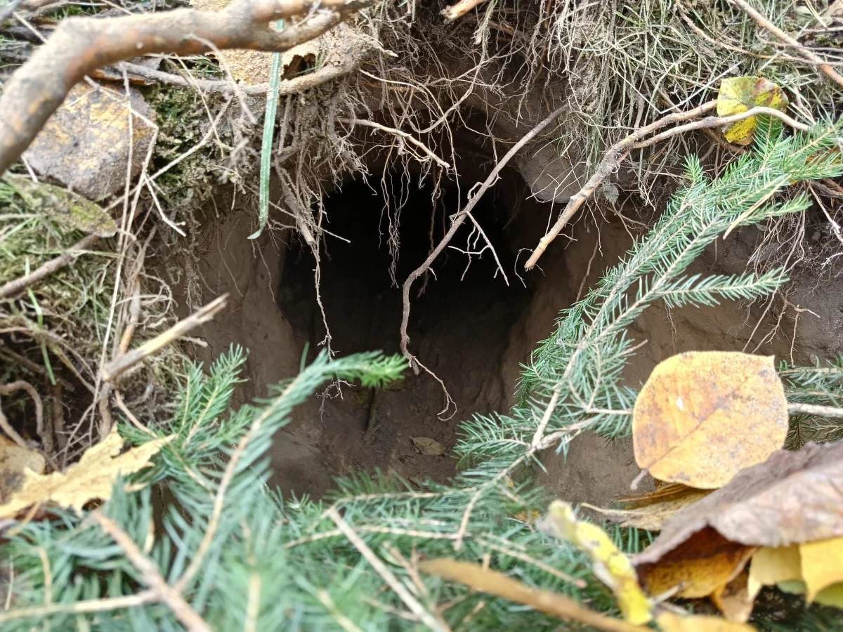 Funkcjonariusze straży granicznej z Podlasia znaleźli w pobliżu granicy z Białorusią tunel. O sprawie poinformował minister spraw wewnętrznych Marcin Kierwiński.
