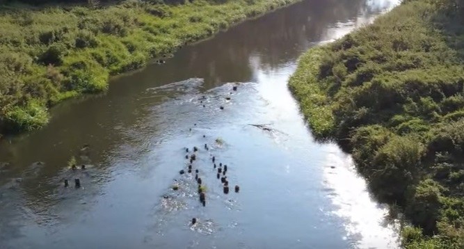 /Facebook/Lubelski Wojewódzki Konserwator Zabytków /Zrzut ekranu