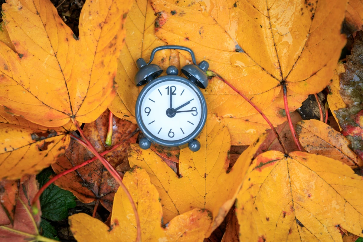 Mimo wieloletnich dyskusji i poparcia obywateli dla zniesienia zmiany czasu, państwa Unii Europejskiej wciąż nie mogą dojść do porozumienia w tej sprawie. Prace nad reformą utknęły w martwym punkcie. To oznacza, że w nocy z soboty na niedzielę Europejczycy znów będą musieli cofnąć zegarki.