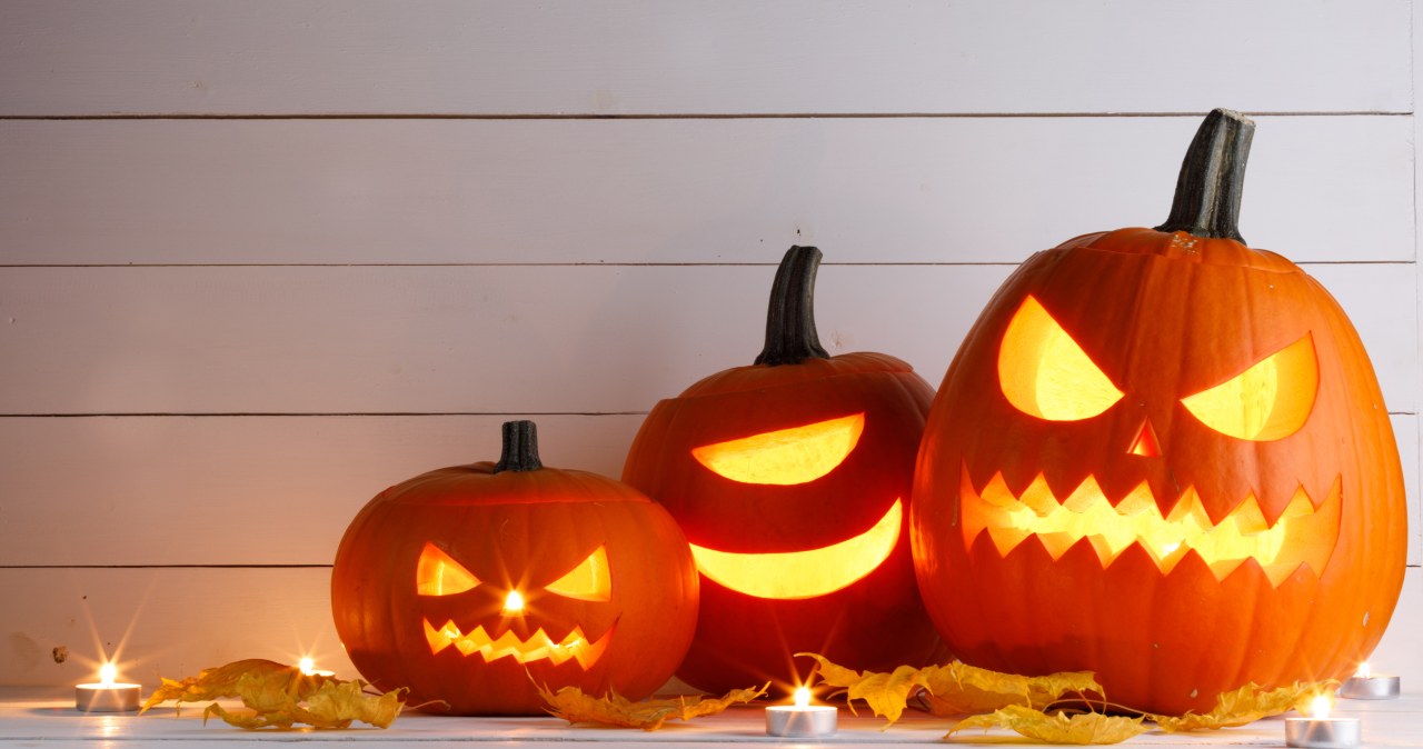 Która dynia wycina się najłatwiej? Oto odmiany idealne na Halloween wiadomości,aktualności,Interia Która dynia wycina się najłatwiej? Oto odmiany idealne na Halloween