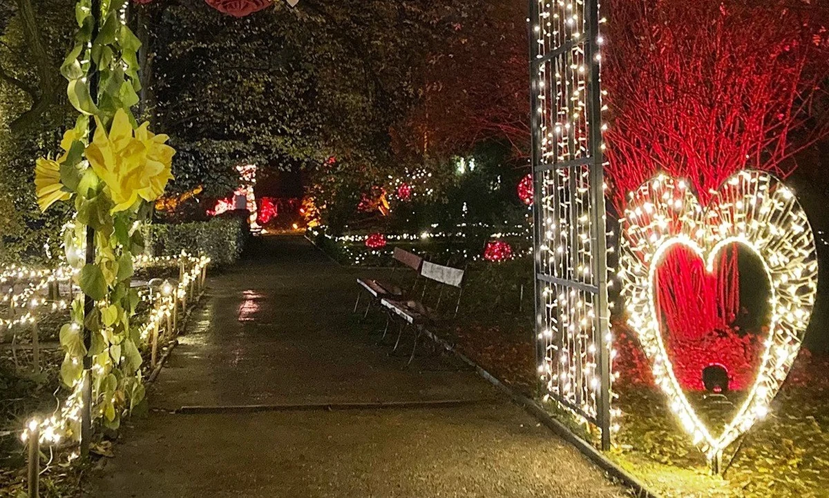 Już w listopadzie warszawski Ogród Botaniczny Uniwersytetu Warszawskiego ponownie rozbłyśnie milionem świateł. Tegoroczna edycja wystawy "Magiczny Botaniczny" zapowiada się wyjątkowo. Motywem przewodnim będą natura i cztery żywioły, a na gości czeka aż 40 świetlnych instalacji. Organizatorzy przygotowali także pulę darmowych biletów dla najmłodszych.