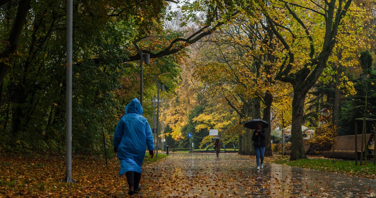Duże zmiany w pogodzie. Najpierw deszcz i śnieg, później choćby 24 st. C