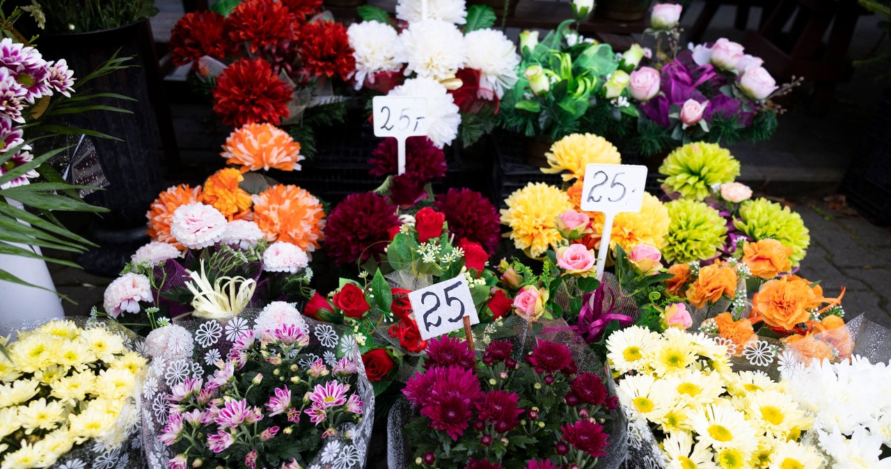 Tych kwiatów nie kupuj na Wszystkich Świętych. Nie przetrwają dwóch dni