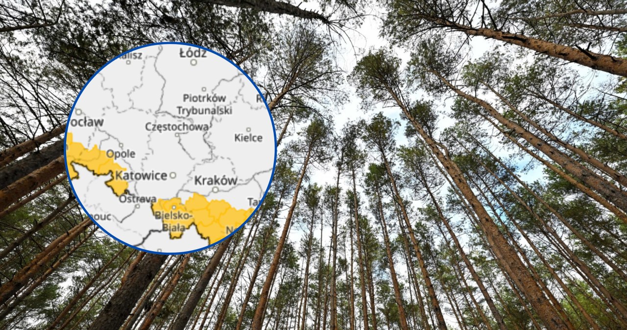 Szykuje się jeden dzień z wichurami. Prawie cała granica Polski na żółto z powodu alertów IMGW wiadomości,aktualności,Interia Szykuje się jeden dzień z wichurami. Prawie cała granica Polski na żółto z powodu alertów IMGW