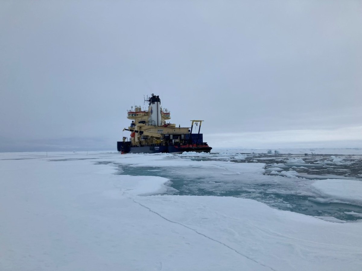 Niespodzianka w Arktyce. Topnienie lodu może napędzać życie morskie. I nie tylko...