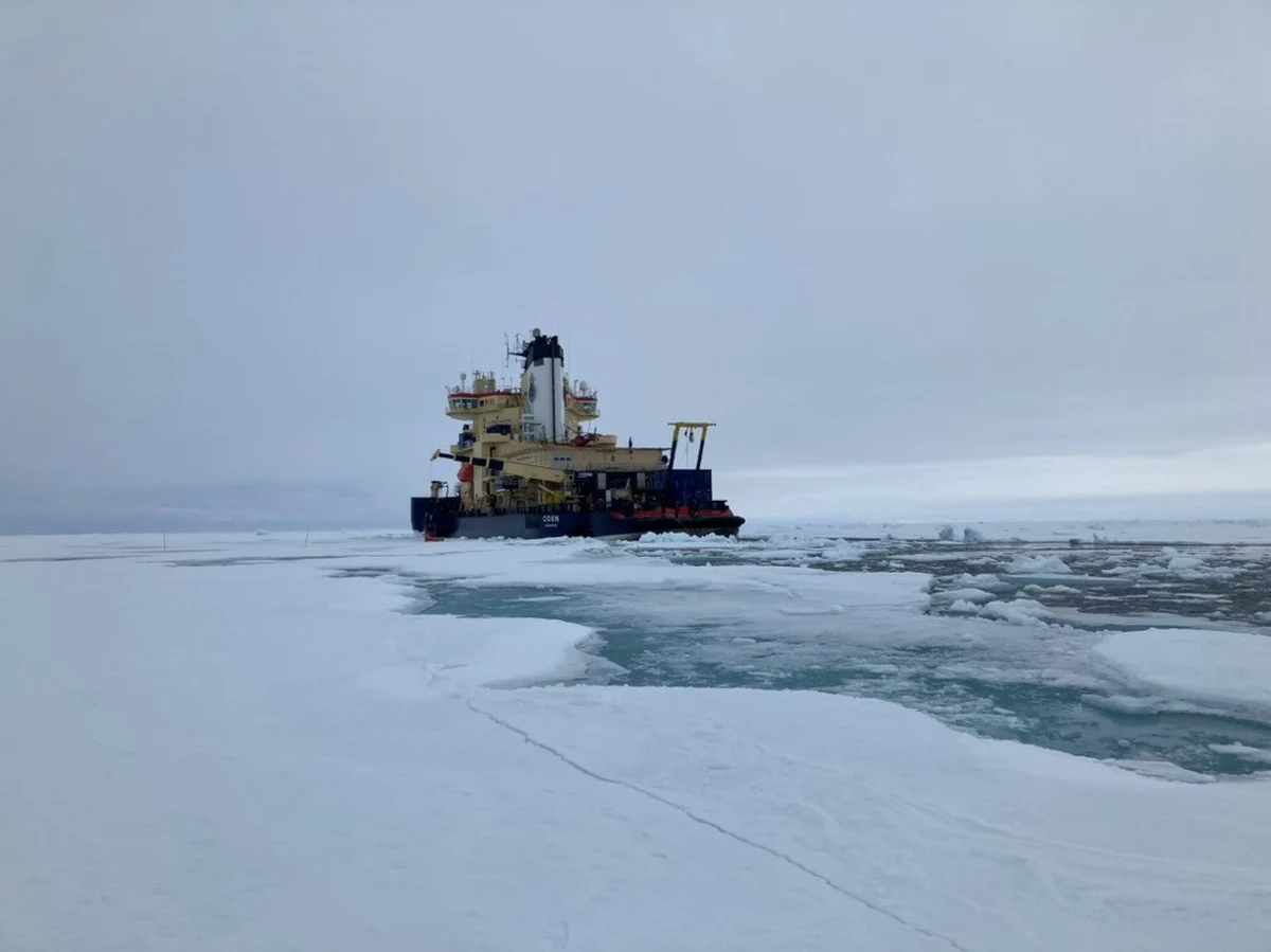 Zmiany klimatyczne i postępujące topnienie lodu morskiego w Arktyce od lat budzą niepokój naukowców i opinii publicznej. Zmniejszająca się pokrywa lodowa oznacza nie tylko zagrożenie dla niedźwiedzi polarnych czy lokalnych społeczności, ale także dla całego ekosystemu Oceanu Arktycznego. Najnowsze, międzynarodowe badania prowadzone pod kierunkiem Uniwersytetu Kopenhaskiego przynoszą jednak zaskakujące wyniki, które wskazują na towarzyszący zmianom klimatycznym korzystny proces. Topnienie lodu może napędzać rozwój glonów, które mogą być pokarmem morskich zwierząt i mogą też przyczyniać się do pochłaniania części dwutlenku węgla.
