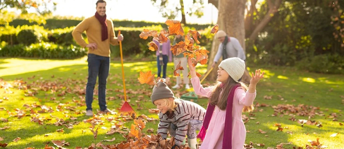 Jesień to pora, w której ogród potrzebuje więcej uwagi – a Ty niezawodnego sprzętu. Spadające liście, wilgoć, błoto i porozrzucane gałęzie potrafią szybko zamienić podwórko w chaos. Jeśli zależy Ci na tym, by zachować porządek i estetykę wokół domu, warto sięgnąć po narzędzia, które ułatwią i przyspieszą jesienne prace ogrodowe.