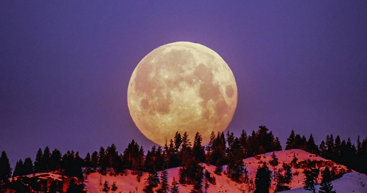 Na te 3 znaki zodiaku wpłynie aura Księżyca w nowiu. Czeka ich świetny czas