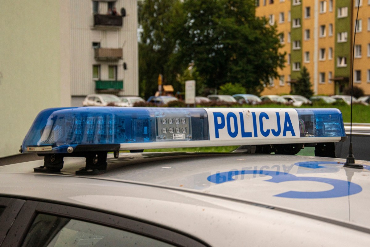 Krakowska policja zatrzymała jednego z poszukiwanych za rozbój w parku Jalu Kurka