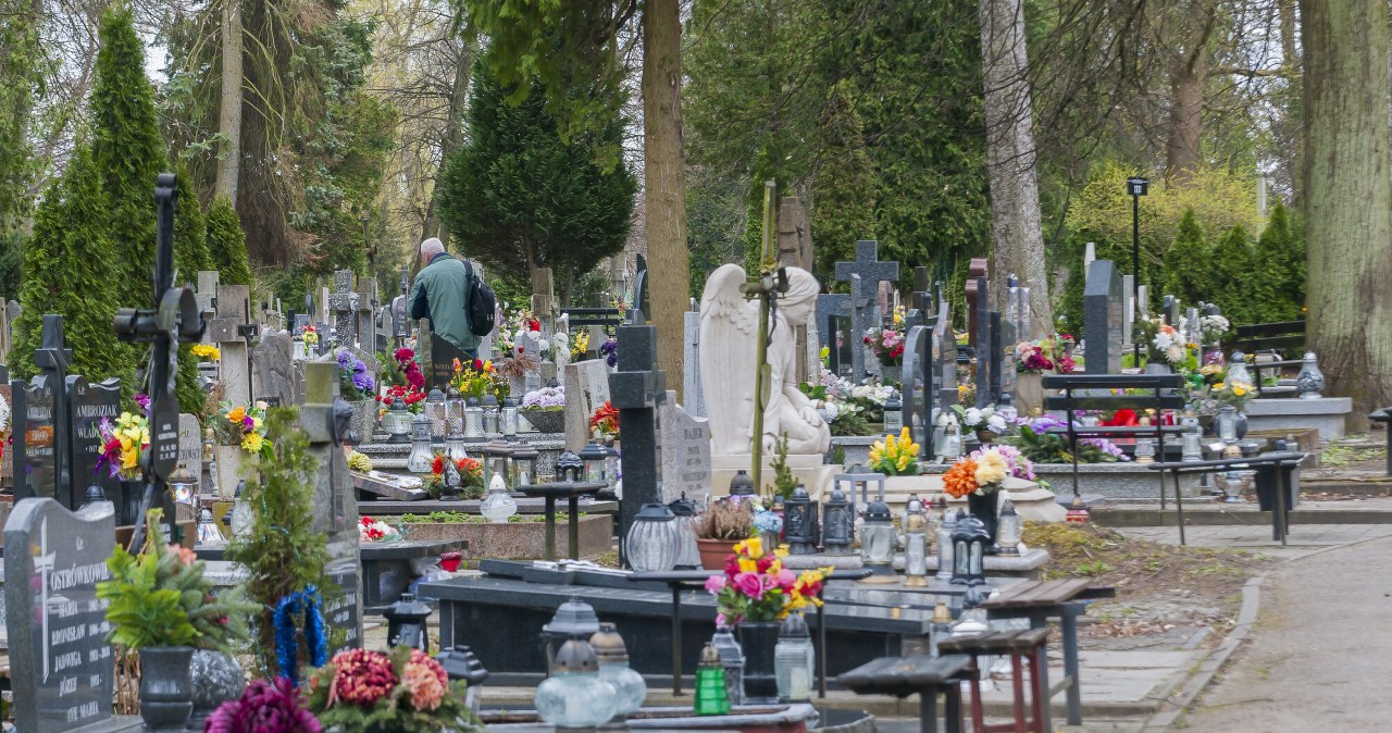 Sprzątanie grobu na Wszystkich Świętych. Ile zapłacisz za taką usługę?