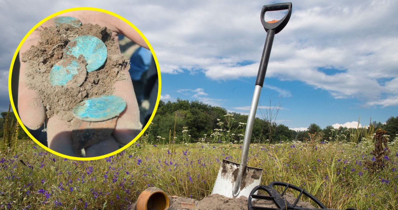 Rolnicy z Mazur znaleźli monety na łące. Myśleli, iż to kamienie