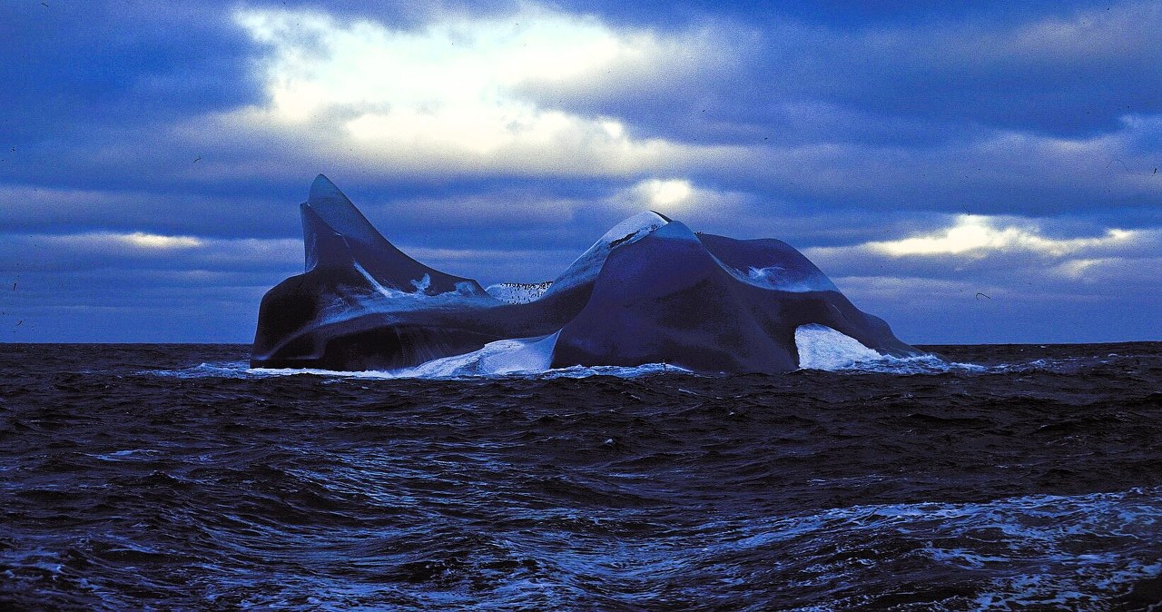 Ocean Południowy pod lupą naukowców. Zbadali niepokojący scenariusz