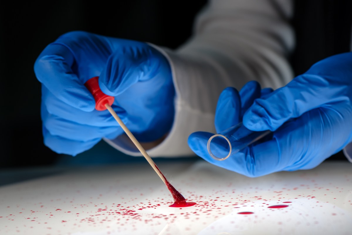 Przestępca seksualny zatrzymany po 20 latach. Zdradziło go DNA