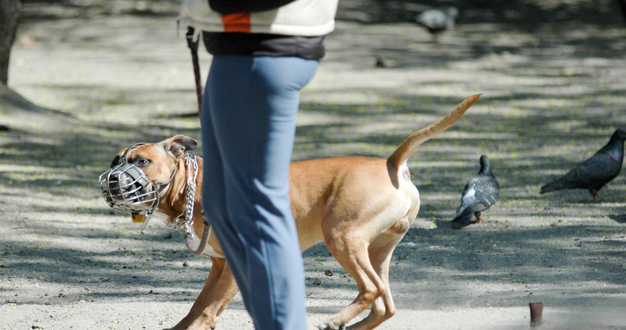Chcą likwidacji kontrowersyjnej opłaty. "Kula u nogi"