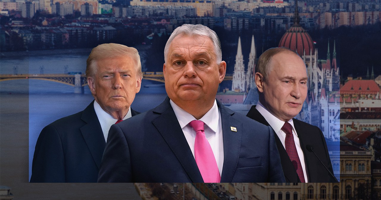 Doniesienia z USA bolesnym policzkiem dla Viktora Orbana. Wszystkiemu zaprzecza wiadomości,aktualności,Interia Doniesienia z USA bolesnym policzkiem dla Viktora Orbana. Wszystkiemu zaprzecza