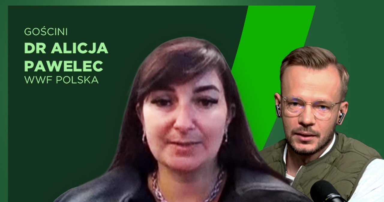 Powodzie, susze i katastrofy. Co się dzieje z polskimi rzekami?