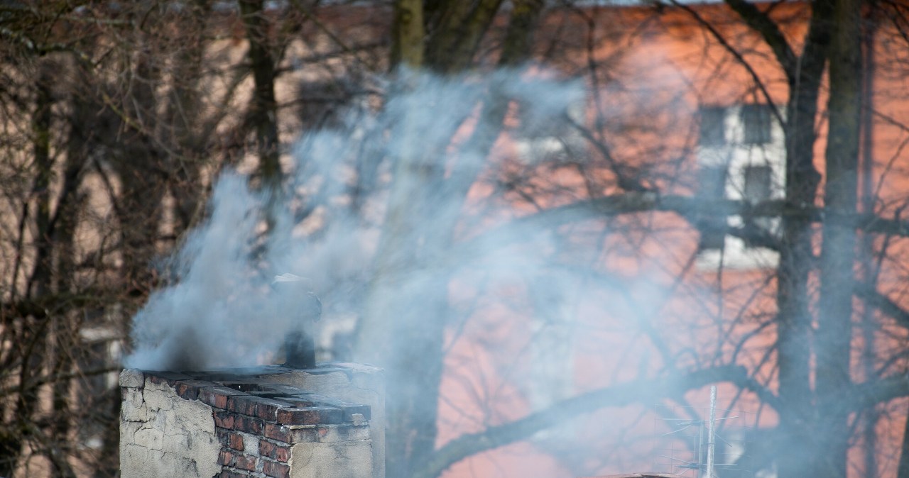 Program Czyste Powietrze w kryzysie. "Ten rok pokazał, iż ktoś przesadził"