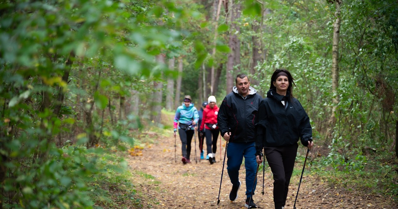 Kiedy nordic walking odchudza najszybciej? Poznaj ważne zasady! wiadomości,aktualności,Interia Kiedy nordic walking odchudza najszybciej? Poznaj ważne zasady!