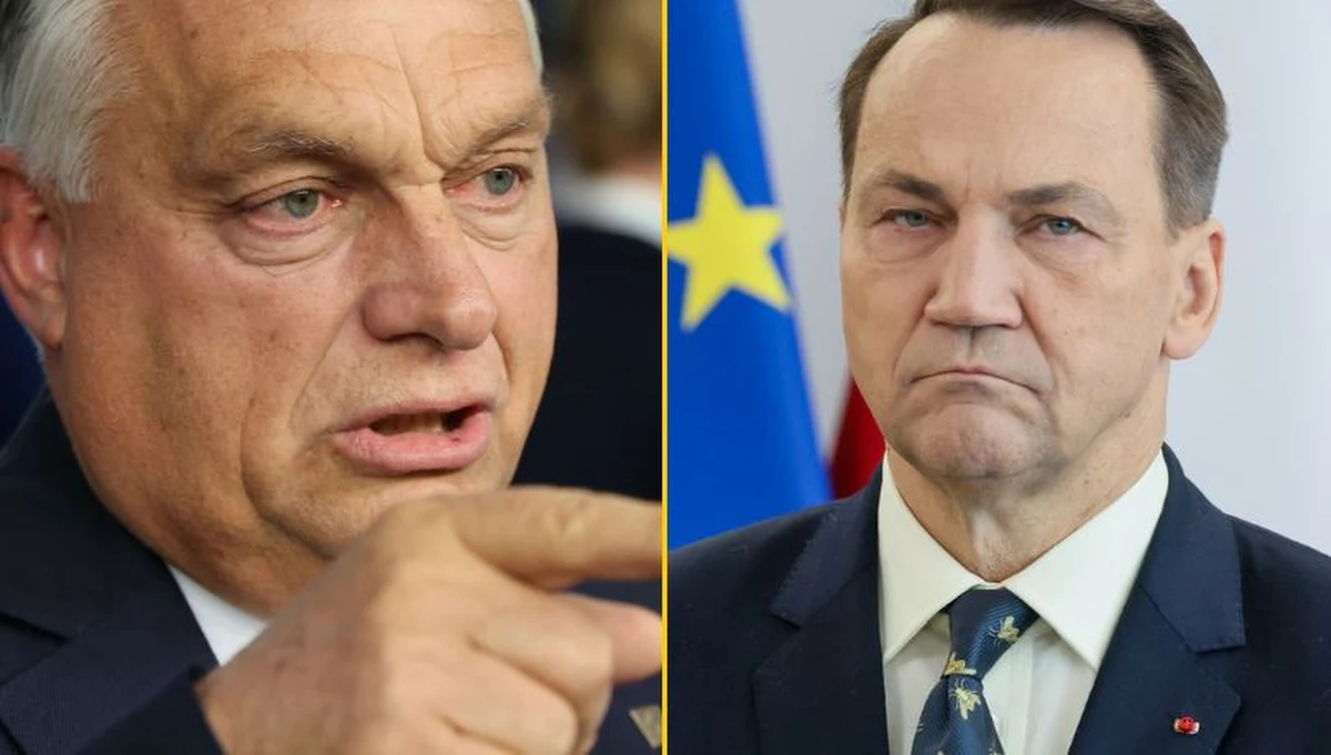 Polski rząd chce unicestwić tysiącletnią przyjaźń polsko-węgierską - ocenił we wpisie na Facebooku premier Węgier Viktor Orban. W ten sposób skomentował wpis ministra spraw zagranicznych Radosława Sikorskiego, w którym stwierdził, że ma nadzieję, iż ukraińskim wojskowym uda się zniszczyć rurociąg dostarczający ropę naftową z Rosji na Węgry. Zdaniem Orbana polski rząd jest pod wpływem psychozy wojennej.