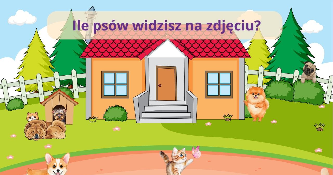 Myślisz, iż masz bystre oko? Ten test zmylił wielu internautów