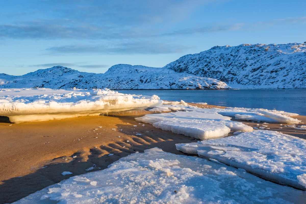 Międzynarodowe media ujawniły jeden z najpilniej strzeżonych sekretów rosyjskiej marynarki wojennej. Na dnie Morza Barentsa w Arktyce Rosja ułożyła zaawansowany system do monitorowania ruchu okrętów NATO. Projekt, nazwany „Harmonia”, powstał z wykorzystaniem zachodnich technologii, które trafiły do Rosji pomimo obowiązujących sankcji. W dziennikarskim śledztwie uczestniczyły redakcje ze Szwecji, Niemiec, USA, Norwegii i Francji.