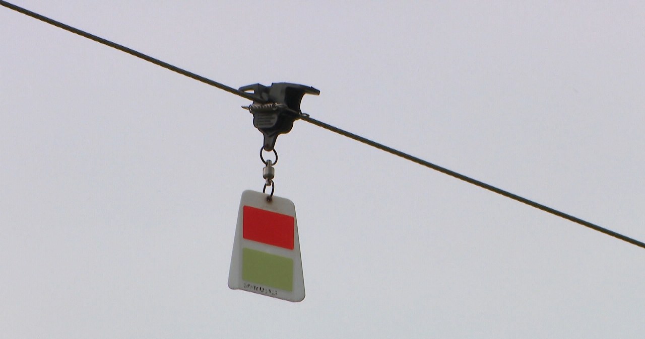 Zamontowali prosty gadżet. Śmiertelność ptaków znacznie spadła