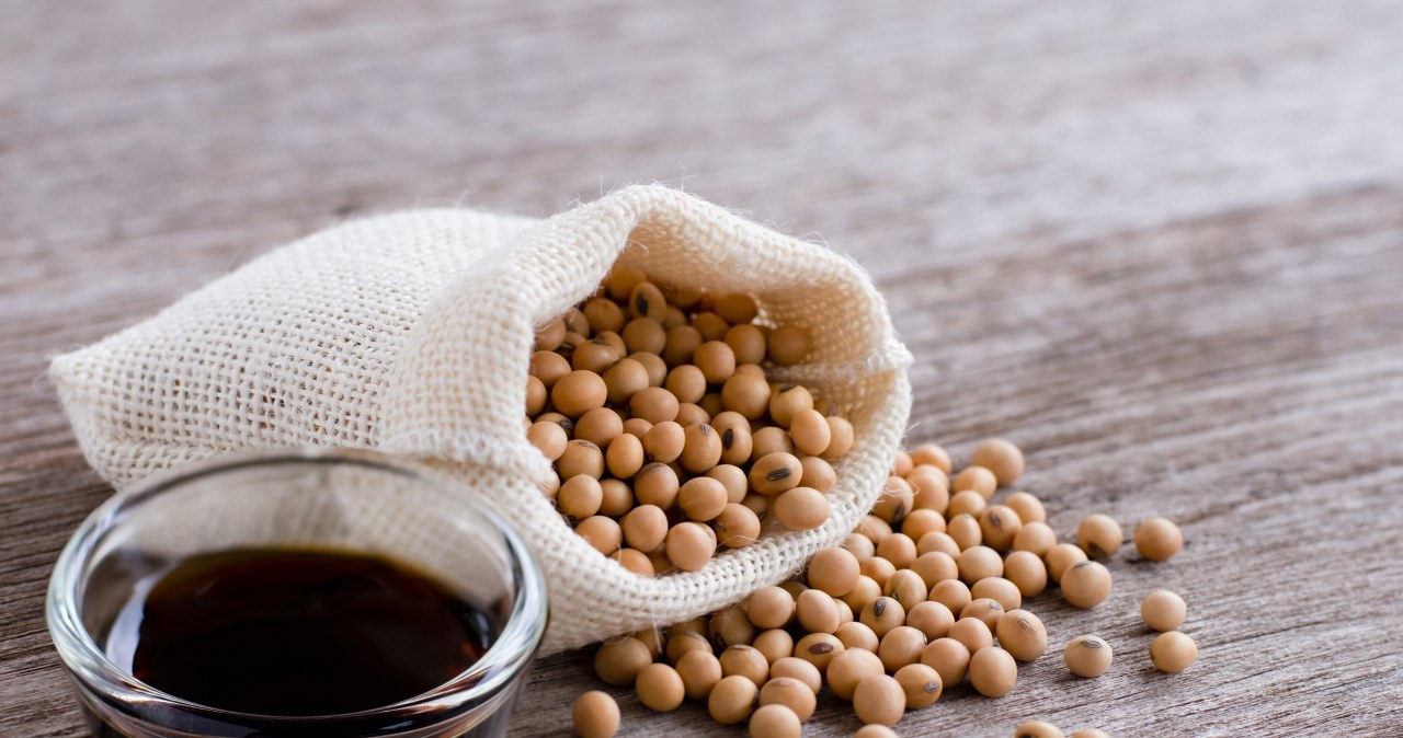 Soja GMO w Polsce. Czy jest szkodliwa dla zdrowia?