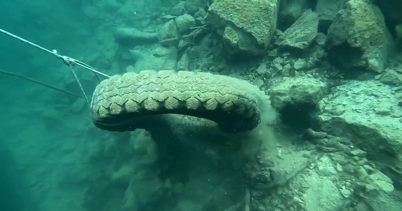 Opony i sklepowe wózki zaśmiecają perłę Krakowa. Nurkowie przecierali oczy