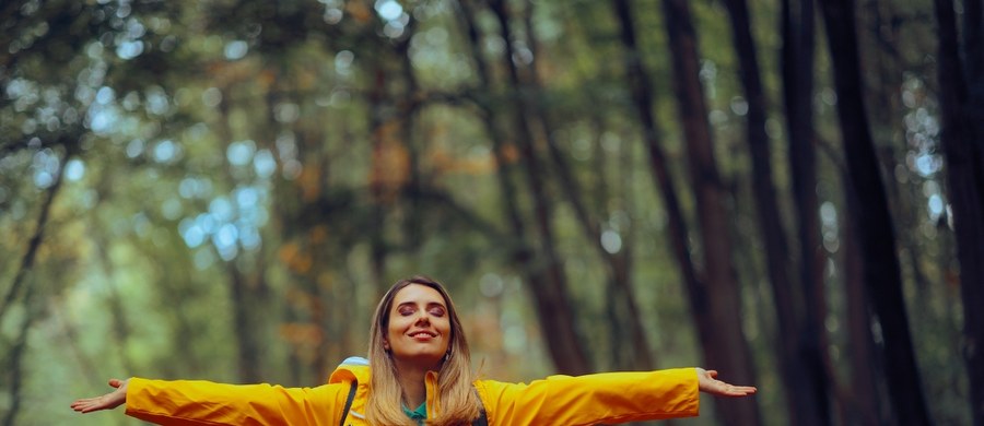 Porzuć złe nawyki, wypracuj nowe, dobre. Jak żyć długo, zdrowo i każdego dnia doświadczać radości? Wystarczy umieć liczyć do czterech, bo dokładnie cztery są fundamenty, czy też filary długowieczności, zdrowia i szczęścia, według brytyjskiego lekarza, prezentera telewizyjnego, Rangana Chatterjee. 
 