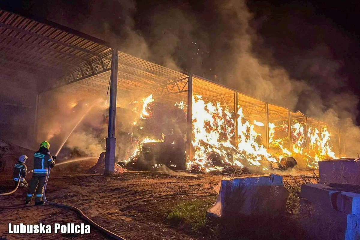 Ogromny pożar w gminie Słońsk (Lubuskie) strawił baloty słomy o łącznej wartości blisko 800 tysięcy złotych. Akcja policjantów z Sulęcina zakończyła się zatrzymaniem 27-letniego mężczyzny podejrzanego o podpalenie hali gospodarczej.