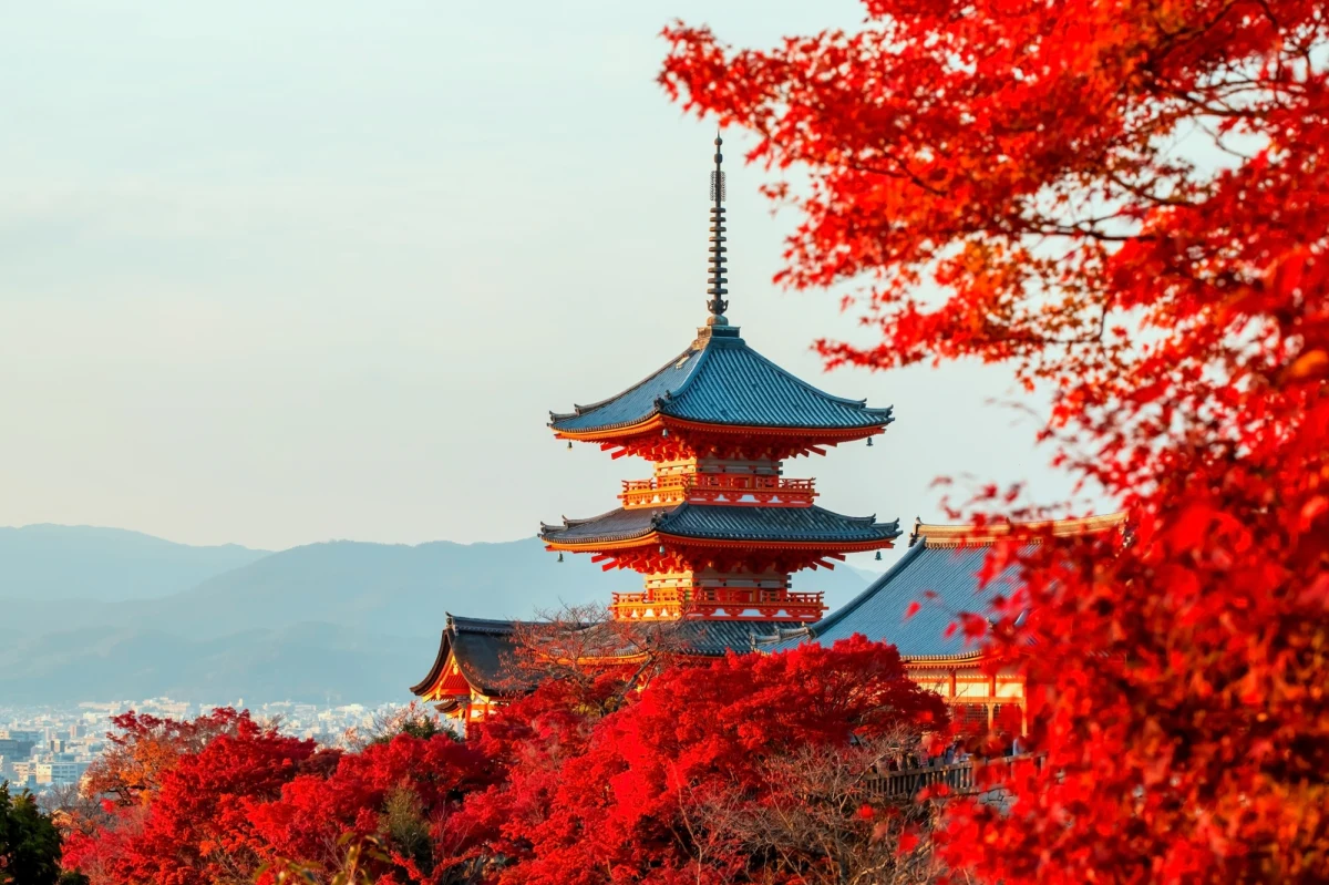 Japonia zapowiada podwyżki opłat dla turystów od 2026 roku. Zmiany obejmą m.in. opłaty za wizy czy tzw. podatek od wylotu. Nowe regulacje mogą wprowadzić również dodatkowe opłaty od zakwaterowania. Władze chcą w ten sposób zapewnić dodatkowe wpływy do budżetu, bez dodatkowego obciążania swoich obywateli, a także uporać się z rekordowym napływem turystów w ostatnim czasie.