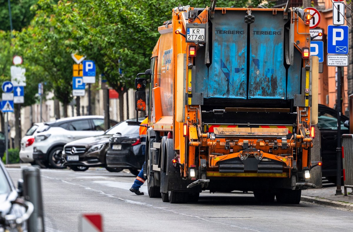 Nietypowe odkrycie w Krakowie. Jadowite pająki w koszu na śmieci