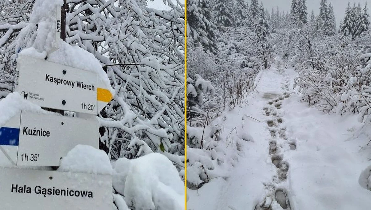 "Odbieramy świeże dostawy" - napisali pracownicy Tatrzańskiego Parku Narodowego w piątek, zamieszczając zdjęcia, na których widać hałdy śniegu. Hala Gąsienicowa przykryta białym puchem robi wrażenie, ale jest też przestrogą przed naprawdę trudnymi warunkami w Tatrach.