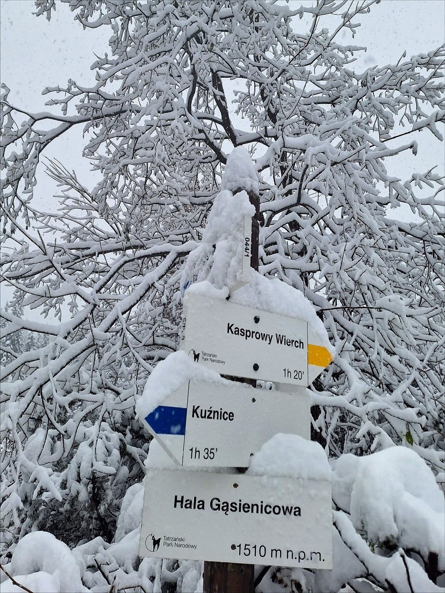 /Bogusława Filar, TPN /