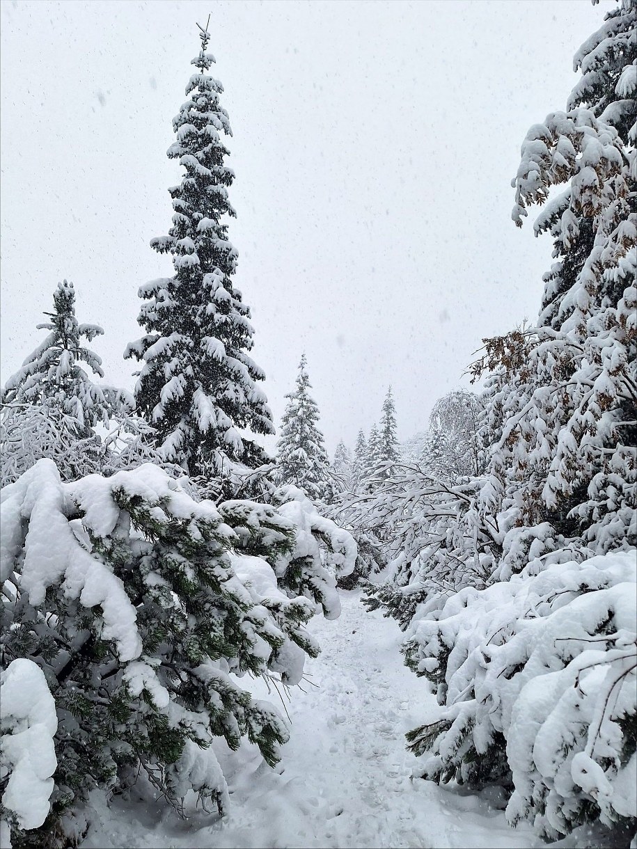 /Bogusława Filar, TPN /