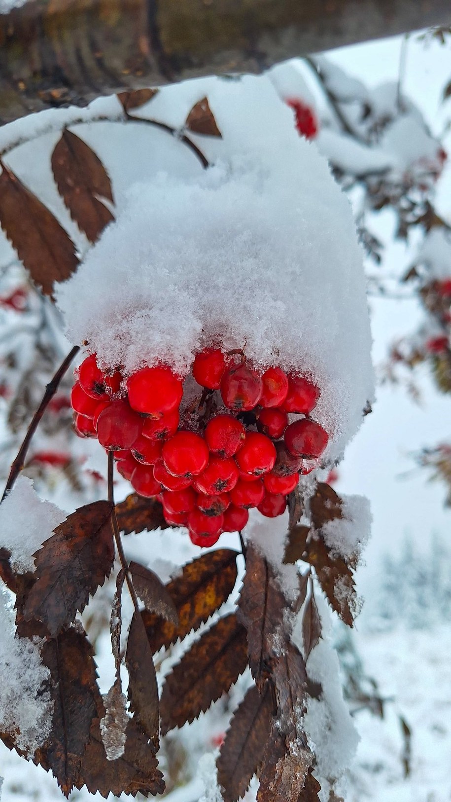 /Bogusława Filar, TPN /