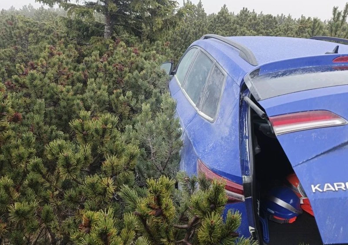 Przy obleganym przez turystów szlaku prowadzącym na Śnieżkę - najwyższy szczyt Karkonoszy, policja odnalazła skradzioną Skodę Karoq o wartości 170 tysięcy złotych. Samochód ukryty był w kosodrzewinie, na dużej wysokości.