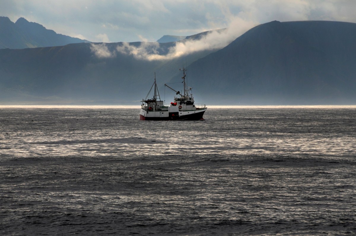 ​Rybak przerywa ćwiczenia NATO i nie kryje wściekłości. "Będą mieli konflikt"