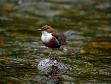 Zjawiskowe góry Portugalii