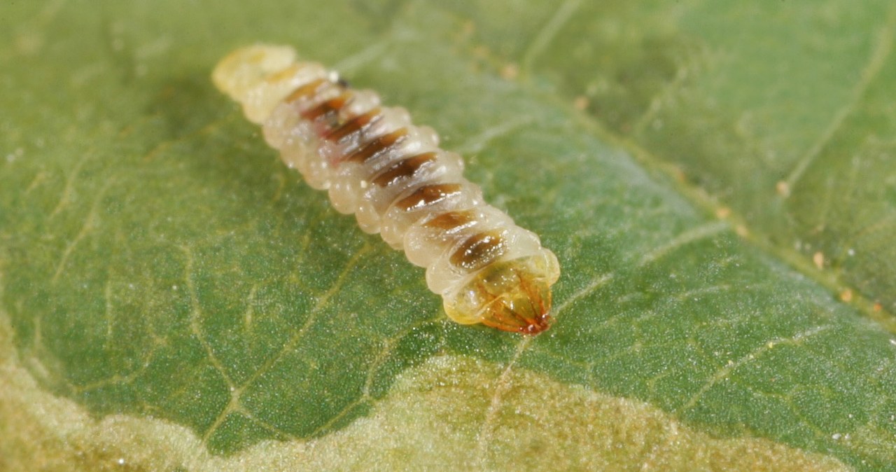 Mieliśmy mieć wiadomości,aktualności,Interia Mieliśmy mieć
